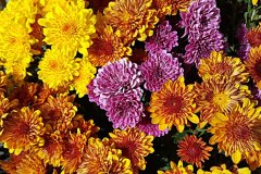 20151009_153327