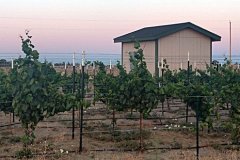 IMG_20190630_202546