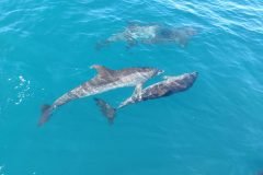 IMG_20221014_153033-scaled-1