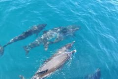 IMG_20221014_153054-scaled-1