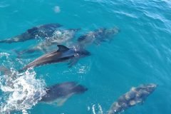 IMG_20221014_153055-scaled-1