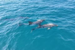 IMG_20221014_153348-scaled-1