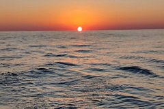 IMG_20221014_184226_Bokeh